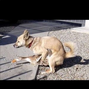 Meet your Posher, Flavio